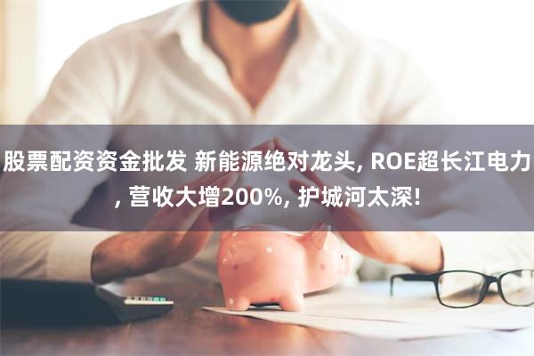 股票配资资金批发 新能源绝对龙头, ROE超长江电力, 营收大增200%, 护城河太深!