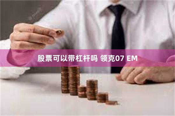 股票可以带杠杆吗 领克07 EM