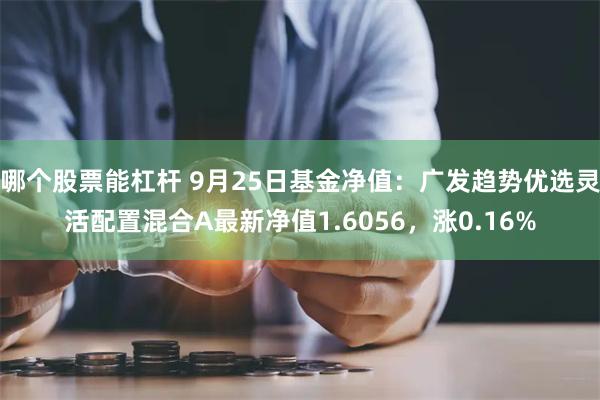 哪个股票能杠杆 9月25日基金净值：广发趋势优选灵活配置混合A最新净值1.6056，涨0.16%