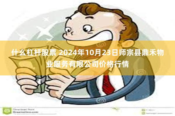 什么杠杆股票 2024年10月23日师宗县鼎禾物业服务有限公司价格行情