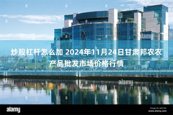 炒股杠杆怎么加 2024年11月24日甘肃邦农农产品批发市场价格行情