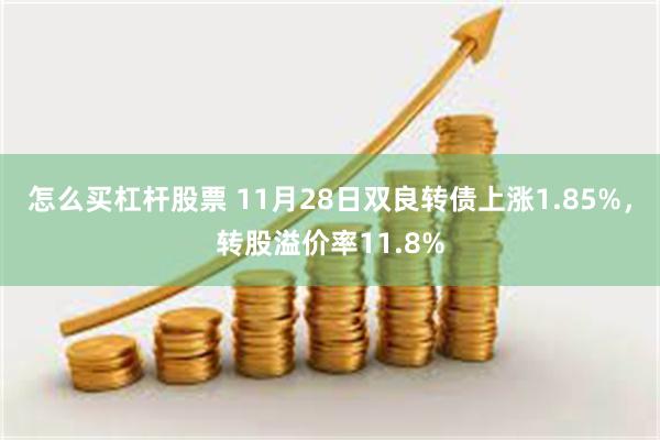 怎么买杠杆股票 11月28日双良转债上涨1.85%，转股溢价率11.8%