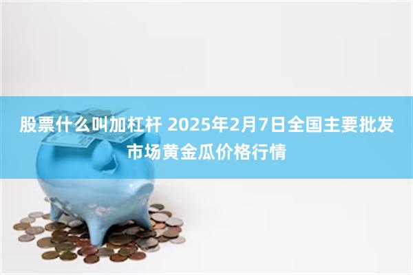 股票什么叫加杠杆 2025年2月7日全国主要批发市场黄金瓜价格行情