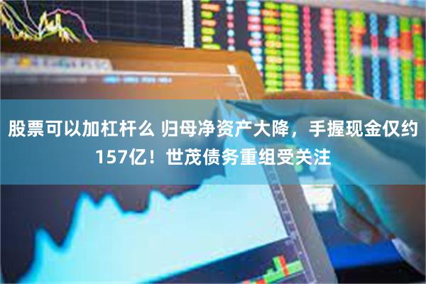 股票可以加杠杆么 归母净资产大降，手握现金仅约157亿！世茂债务重组受关注