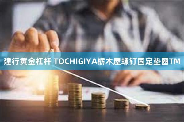 建行黄金杠杆 TOCHIGIYA栃木屋螺钉固定垫圈TM
